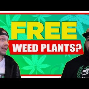 FREE PLANTS From the Government???