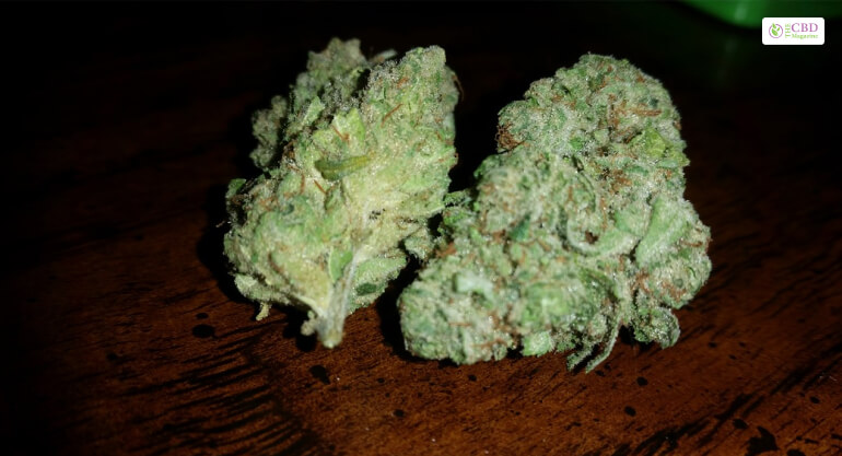 Appearance Of King Kong Strain