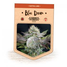 Blue Dream Feminised Seeds jpg