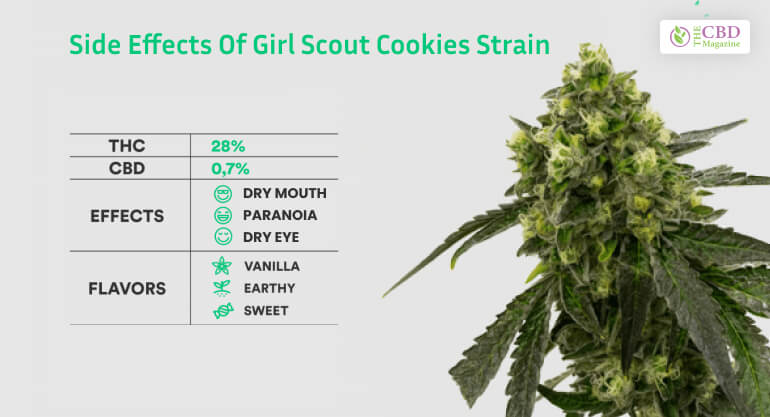 Side Effects Of Girl Scout Cookies Strain