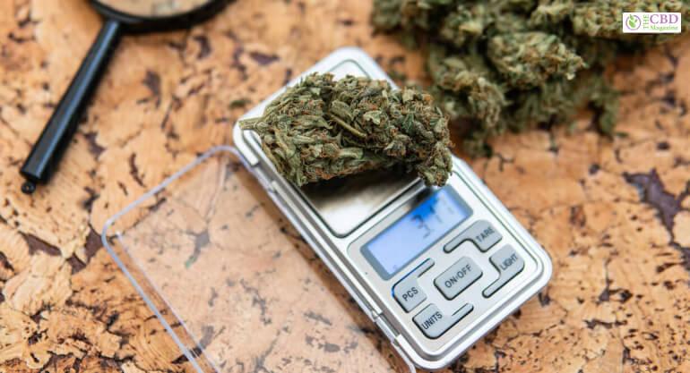 Weighing Marijuana