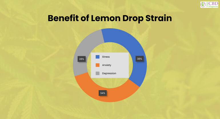 benefits of lemon drop strain