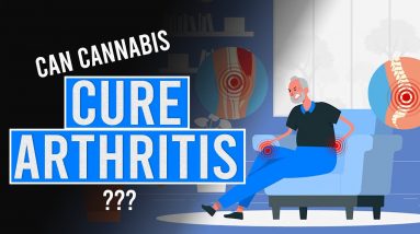 Can CANNABIS help with the Pain of ARTHRITIS and Joint Inflammation?