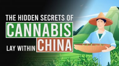 Does China hold the secret to the origins of Cannabis?!?