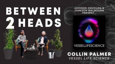 Between2Heads with Jameson Welbourn and Addison DeMoura - Episode 4: Collin Palmer