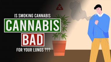 Is Smoking CANNABIS as BAD for your Lungs as Smoking Tobacco ???