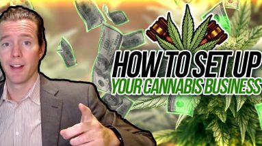 How to Set Up Your Cannabis Business with Collateral Base | how to start a marijuana business