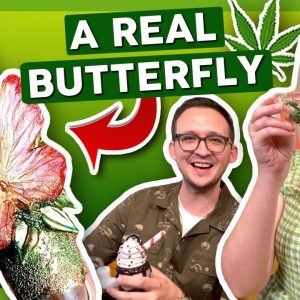 THE $420 PIPE 🦋 Made with a REAL butterfly!
