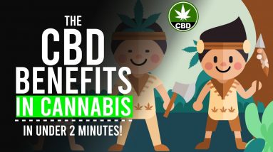 The Health Benefits of CBD in CANNABIS: In Under 2 Minutes!