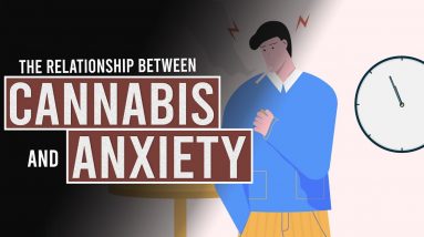 The Relationship between CANNABIS and ANXIETY!