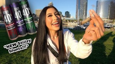 VLOG: having a ME day & trying the NEW STIIIZY 40's bluntz