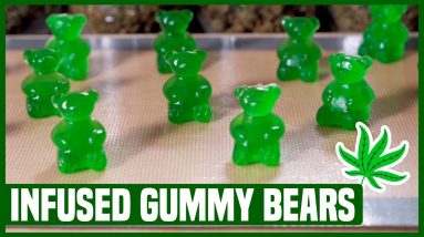 Homemade Gummy Bears | Easy Canna-Gummy Bear Recipe 🍯💨