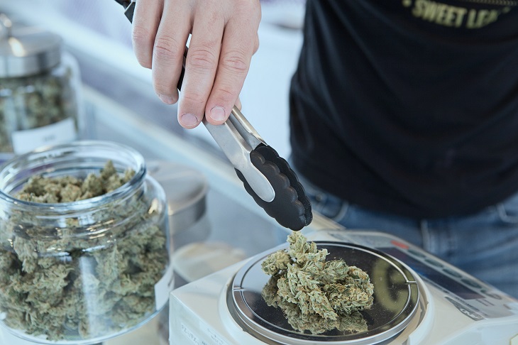 person serving products in medical marijuana dispensary