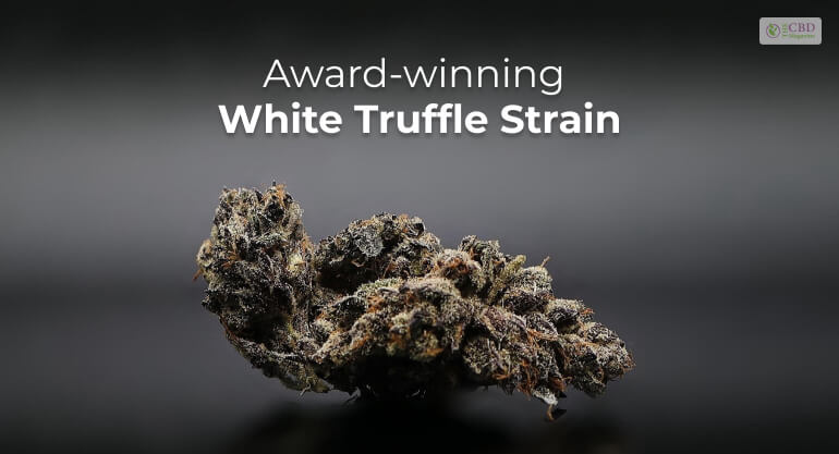 Award-winning  White Truffle Strain