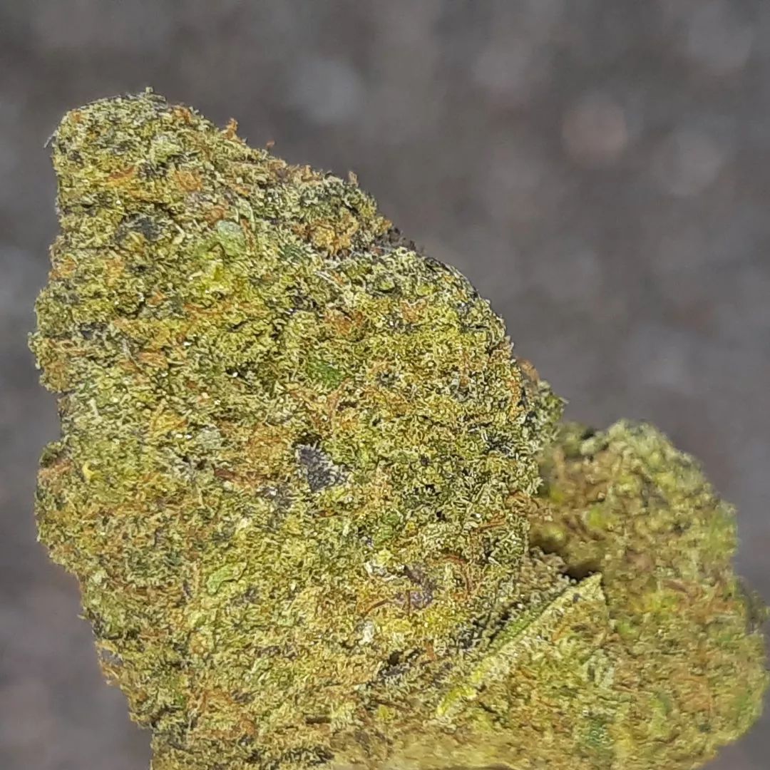 H-Town Hemp - Mr Nice 16% CBD Flower Review