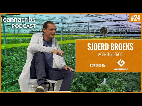 🌱 Cannabis Genetics, Breeding and Growing with @GeneFinderOG - Sjoerd Broeks