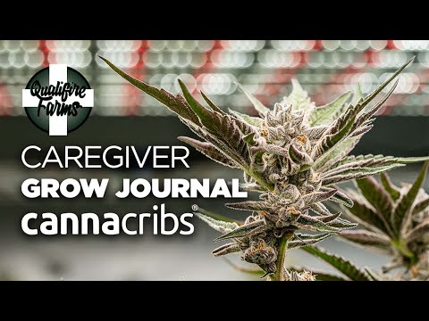 Caregiver Grow Journal - Vegetative and Flowering - Qualifire Farms (E6)
