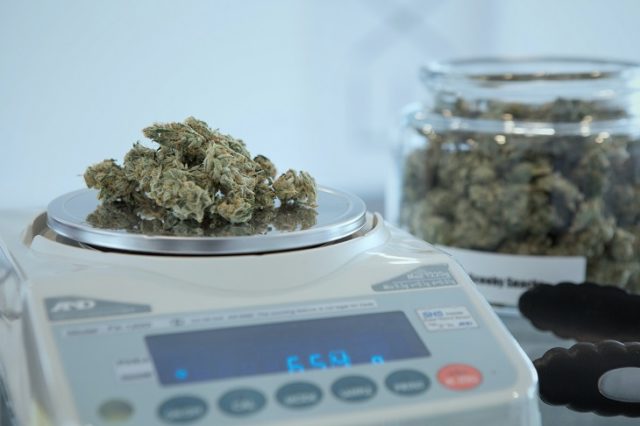 medical marijuana on scale