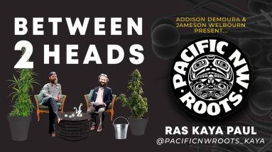 Between2Heads - Episode 15 - Ras Kaya of PacificNwRoots