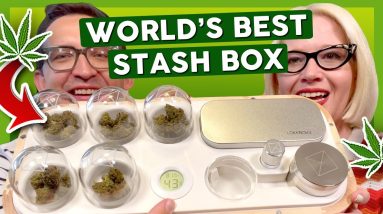 UNBOXING LUXURY STASH BOX, CBD WINE, and more! 💚 FREE STUFF FROM BRANDS