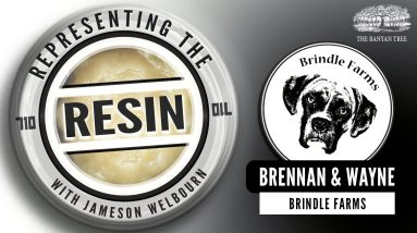 BRENNAN & WAYNE of BRINDLE FARMS - REPRESENTING THE RESIN