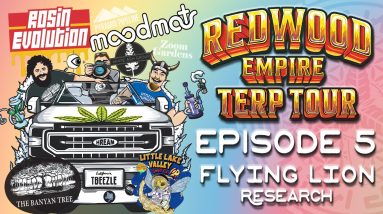 EP 05 - FLYING LION RESEARCH - REDWOOD EMPIRE TERP TOUR