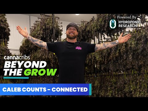 Caleb Counts of Connected Cannabis Co.