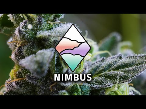 Carbon Zero Cannabis Farming With Nimbus, A New California Brand (Deep Roots)