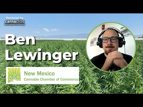 New Mexico Cannabis Market