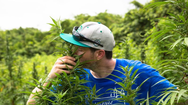 Frenchy's Dream Hash Church Special episode