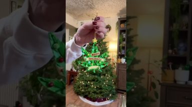 Hazy Holidays: Decorating our Christmas Tree with 420 Cheer! 🎄🌿💨