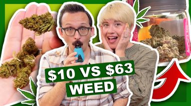 MOST EXPENSIVE VS CHEAPEST WEED 💸 ($10 vs $63)