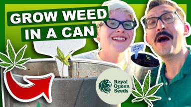 WEED GROW KIT IN A CAN?! 🌿🤯