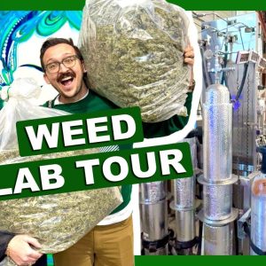 ONLY PUBLIC WEED LAB TOUR IN THE STATE 🌿⛽️ Heylo Cannabis in Seattle!