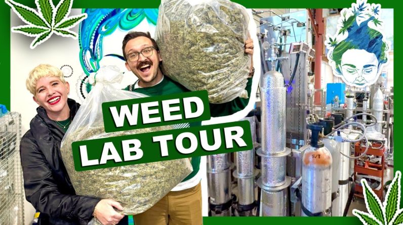 ONLY PUBLIC WEED LAB TOUR IN THE STATE 🌿⛽️ Heylo Cannabis in Seattle!