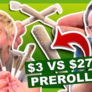 MOST EXPENSIVE VS CHEAPEST PREROLL 🤑