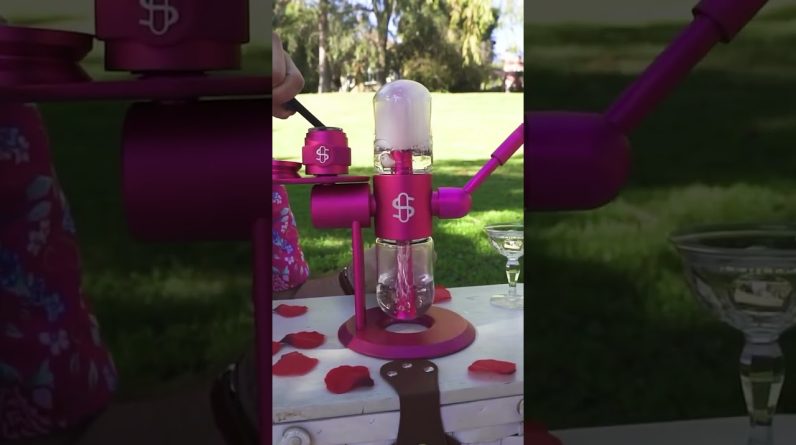 Valentine’s Day picnic with 💕 Happy VDay Day everyone 💘 Sending good vibes your way 💖 🎥 :