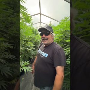 Always so much fun visiting @urbanremo and his incredible plants.   @WolverineDabs and myself