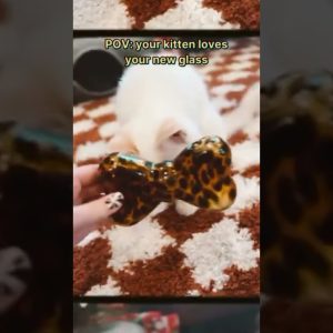 Caturday Vibes 😻 Leopard Glass by 🐆 ✨ Please note, all glass was empty & clean for filming 😸