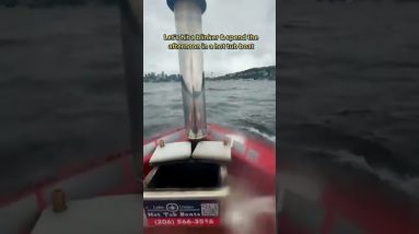 Perfect activity for a cloudy Seattle afternoon β€οΈβπ₯ It was such a trip floating in a boat filled