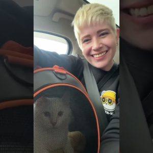 Happy Caturday! Everybody meet Biscuit 😻 We went to SeaMeow last weekend and feel in love with this