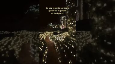 Letโs get lit โจ๐ซถ