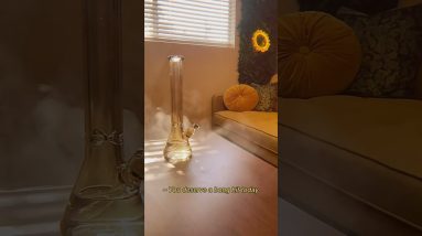 Monday bong hits for all ๐จ