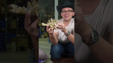 #FlashbackFriday to checking out some beautiful and heady glass pieces from massive warehouse in