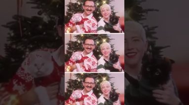 Merry Christmas! Sending good vibes ๐โค๏ธ๐โจ