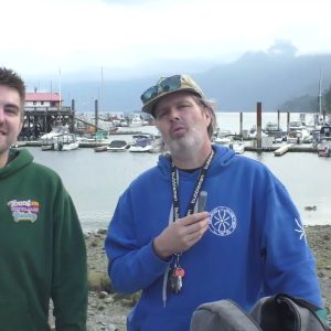 Wolverine Dabs, Bubbleman, Ferries, Whales, Static Sift, and Yachts