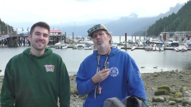 Wolverine Dabs, Bubbleman, Ferries, Whales, Static Sift, and Yachts