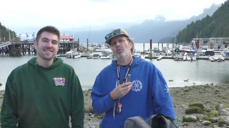 Wolverine Dabs, Bubbleman, Ferries, Whales, Static Sift, and Yachts