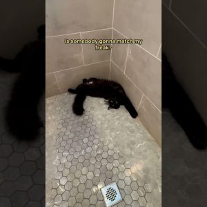 Just waitin in the shower like that 😹 Happy Friday freaks 😜