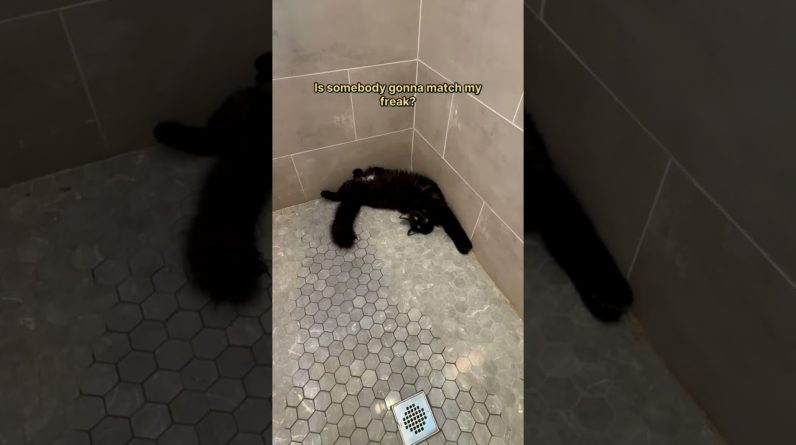 Just waitin in the shower like that 😹 Happy Friday freaks 😜